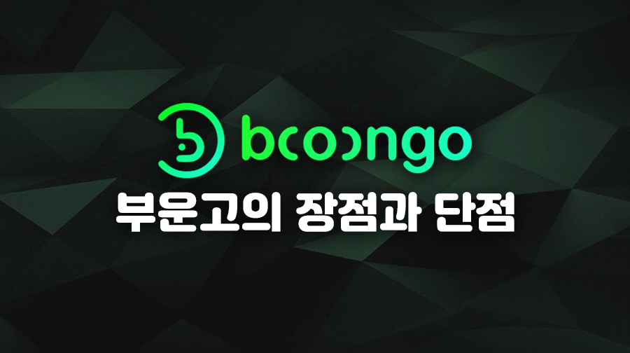 부운고9