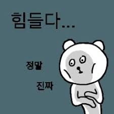 199a4330670d7ebe78851c0acc5c06ef_1747234511_1338.png